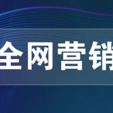 網(wǎng)絡(luò)推廣、網(wǎng)絡(luò)營(yíng)銷與網(wǎng)絡(luò)技術(shù)服務(wù) 構(gòu)建數(shù)字化時(shí)代的商業(yè)引擎