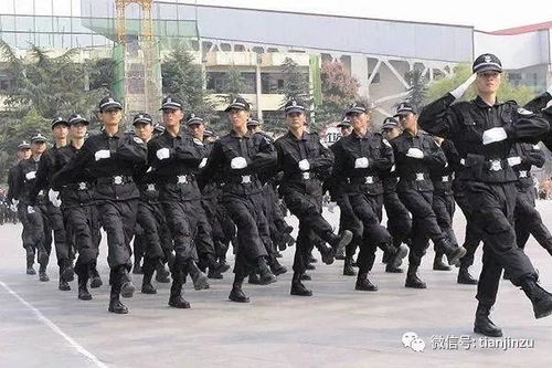 冬至過(guò)后,數(shù)九寒冬開始,津城氣溫會(huì)怎樣 還有這些事要知道
